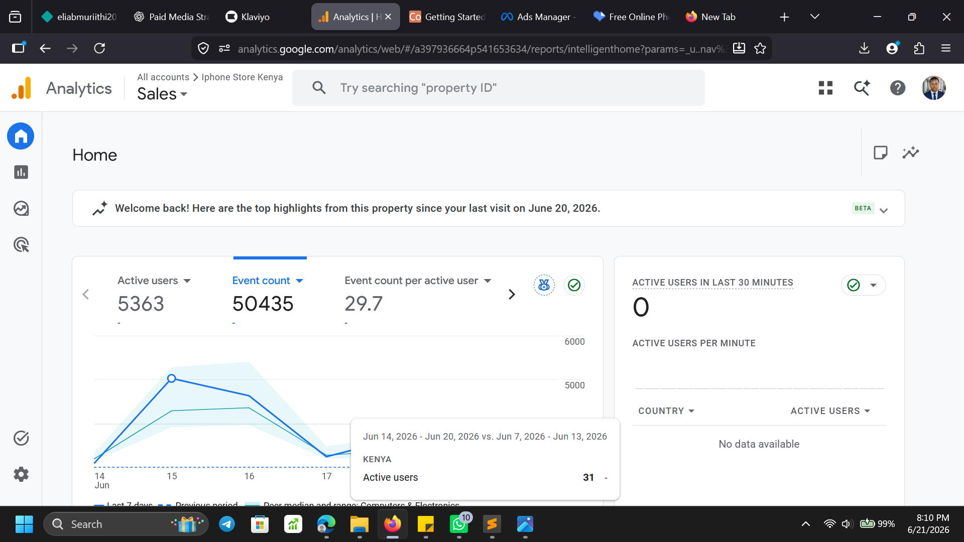 Google Ads dashboard — campaign overview